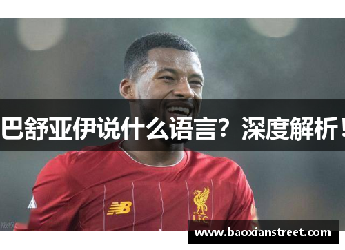 巴舒亚伊说什么语言？深度解析！