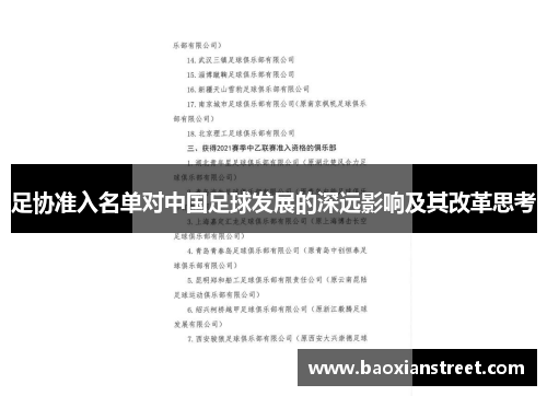足协准入名单对中国足球发展的深远影响及其改革思考