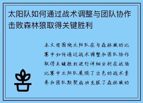 太阳队如何通过战术调整与团队协作击败森林狼取得关键胜利 太阳队如何通过战术调整与团队协作击败森林狼取得关键胜利